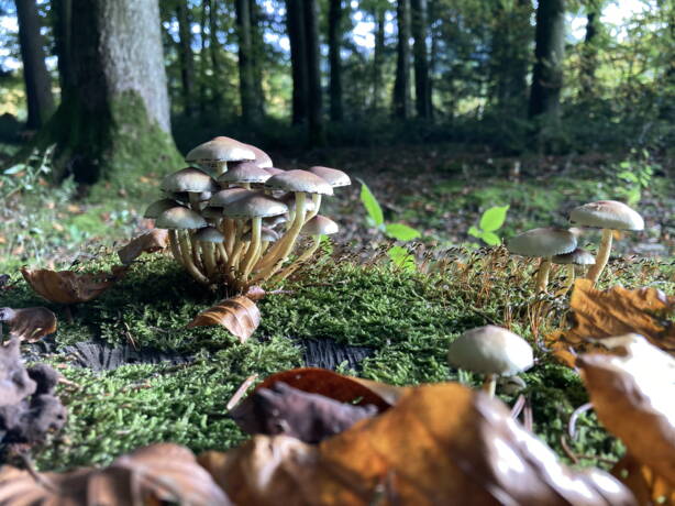 img_9691.jpg img_9691.jpg