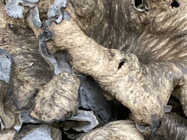 img_9535.jpg img_9535.jpg