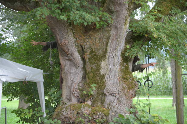 dsc_8810.jpg dsc_8810.jpg