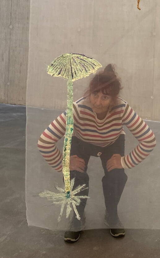 ba_pilz_ana_silva.jpg ba_pilz_ana_silva.jpg