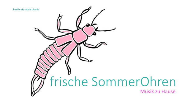 frische_sommerohren1.jpg