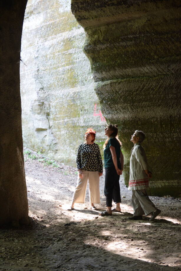 PILZ-X Hoehle 1 PILZ-X Hoehle 1