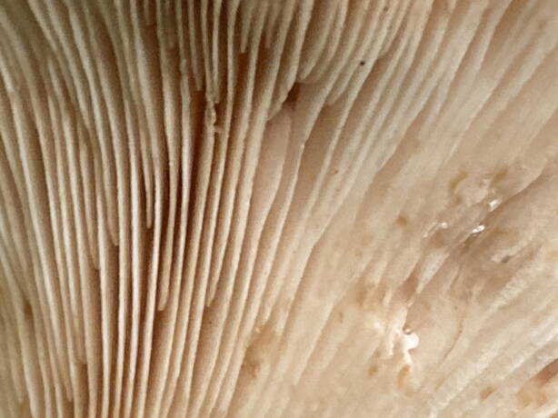 img_9539.jpg img_9539.jpg