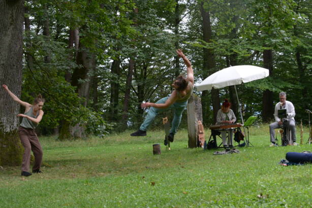 dsc_9618.jpg dsc_9618.jpg