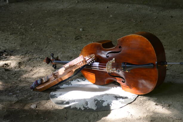 dsc_0099.jpg dsc_0099.jpg