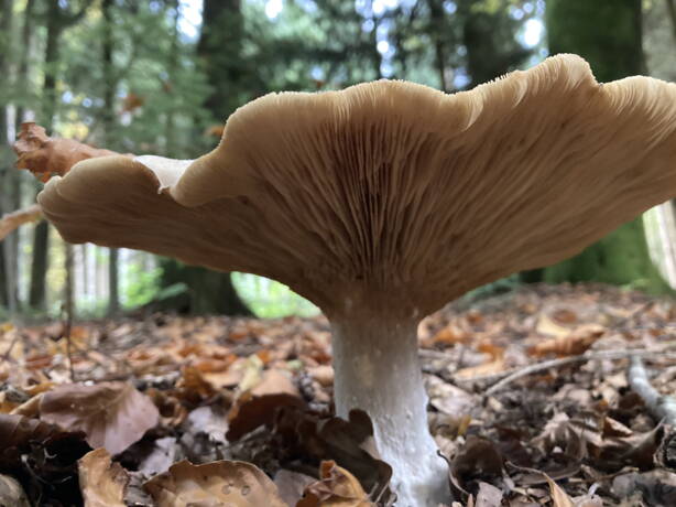 img_9900.jpg img_9900.jpg