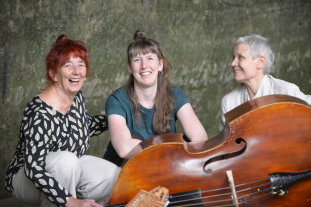 PILZ-X Hoehle 2 PILZ-X Hoehle 2